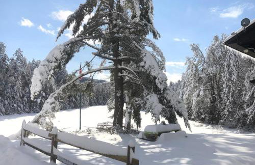 Mountain Retreat on Private Lake-Alderbrook Lodge - Foto 60