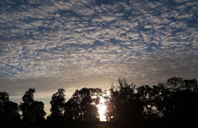 Gîte- La Ferme des Chataigniers - Foto 13
