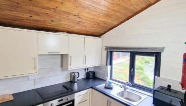 Otter 3 Lodge -Jungle Inspired -Dog Friendly -Private Hot Tub -Warminster-Bath-Salisbury - Foto 3, stove, pet friendly