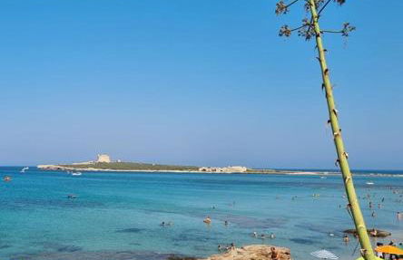 Maria Blue House - Foto 67