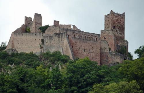 La Maison des Tanneurs - Foto 53