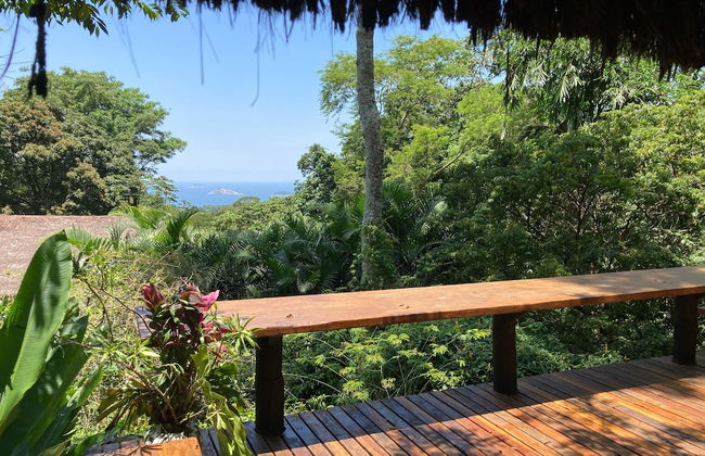 Rainforest Paradise - Foto 18