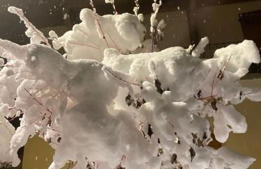 Chalet Muguet - Centre of Village location! - Foto 43