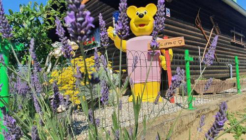 Kuća za odmor Janković - Foto 5