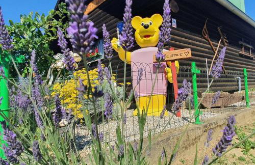 Kuća za odmor Janković - Foto 5