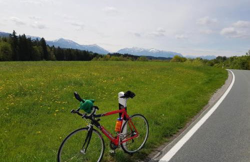 Ferienwohnung im Gartenparadies - Foto 31