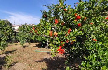 Garden house escape - Foto 15