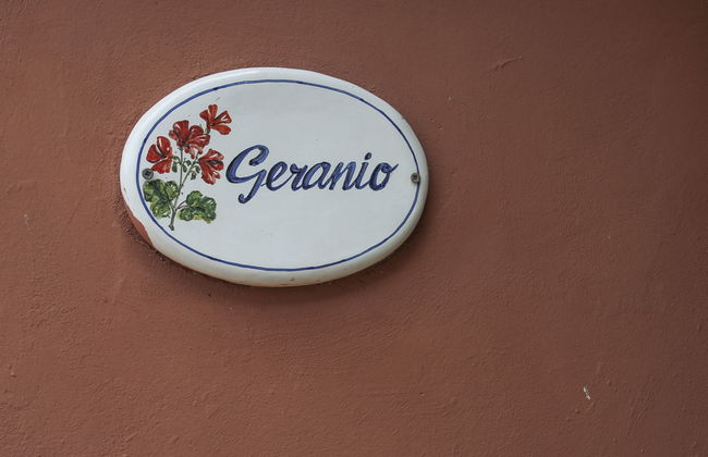 Borgo della Limonaia - Foto 18