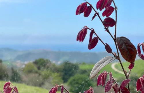 Apartamento Puerta de Comillas - Monabri - Photo 33