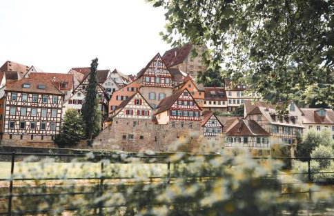 Ferienwohnung Am Stadtpark - Foto 19