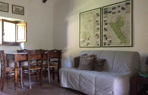 Casale degli ulivi - Foto 15