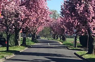 galerie 65 - Foto 15