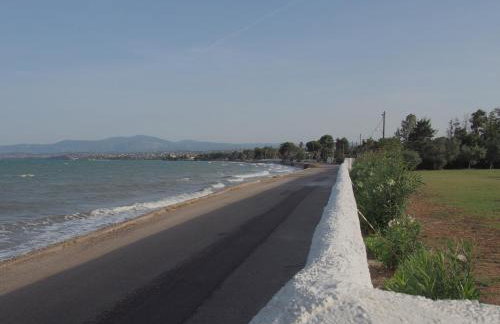 Doctor s estate Χαλκίδα - Photo 55