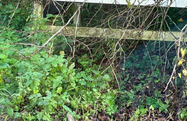 River house - Foto 47