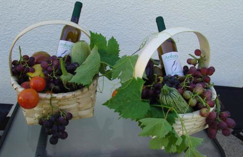 Quinta de Santa Marinha - Foto 74