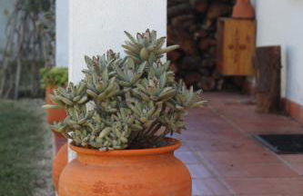 Santa Cruz Beach House - Foto 15