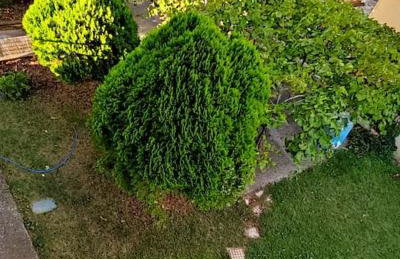 Villa Mary - Photo 19