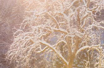 La Ferme des Lombardes by Casalero - Photo 17