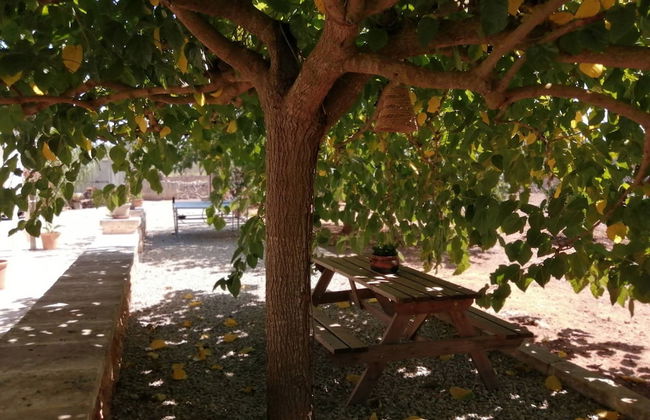 Amazing Villa in Sineu With Pool - Foto 33