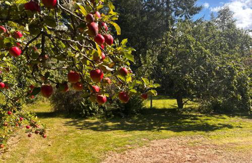 Clashmore House Garden Cottage Dornoch - Foto 32