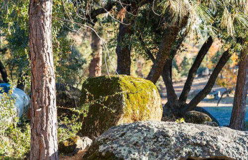 Lupine Landing - Foto 43