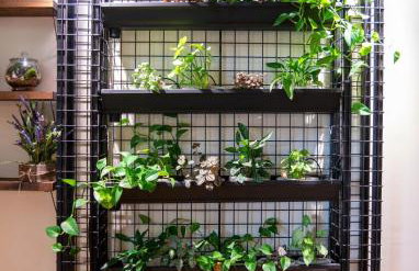 Mountain Jungalow Chalet, 3 min walk to Royal Gorge Train - Foto 29