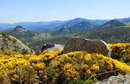 Wood log chalet - Foto 62