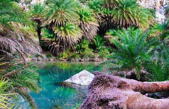 Excursion à la plage de Preveli - Photo 3