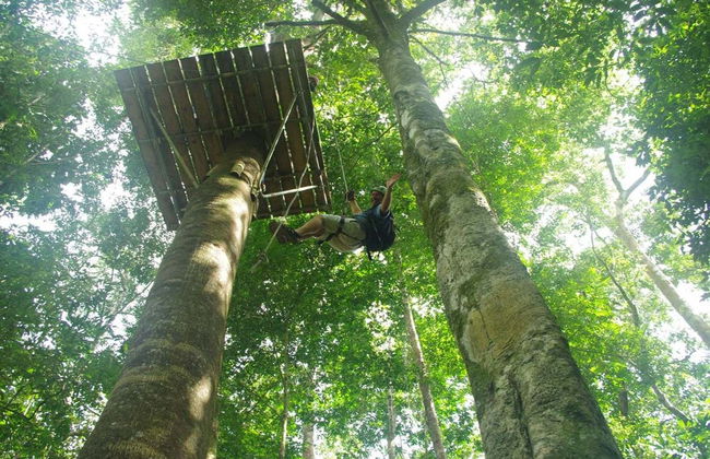 Tyrolienne à Ciudad Cortés - Photo 3