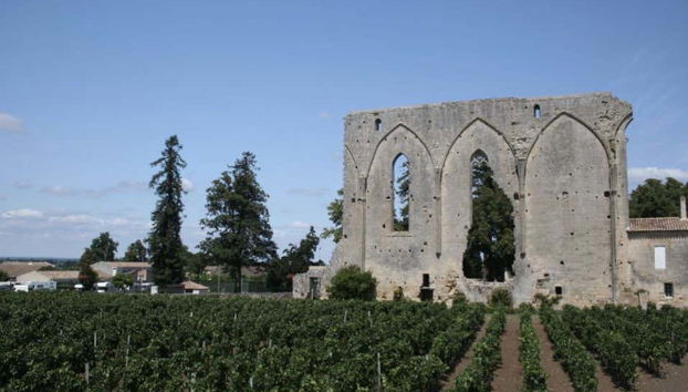 Private Tour of Saint-Émilion - Foto 3