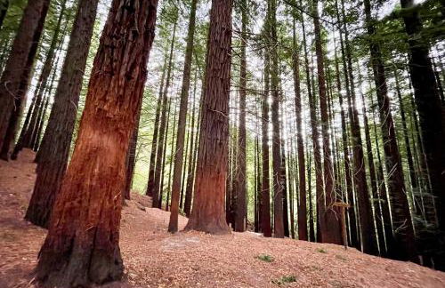 Loredo Beach 1 - Foto 46