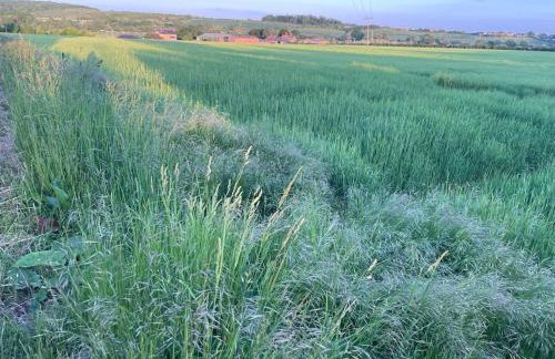 Charming country cottage in quiet rural setting - Foto 35