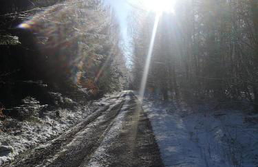 Ferienhaus Fynnhütte - Foto 24