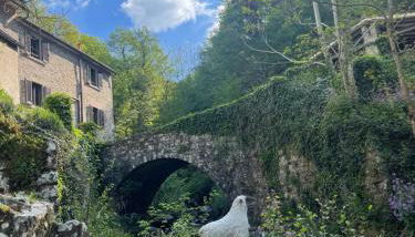 Mulino Morandi - Foto 1