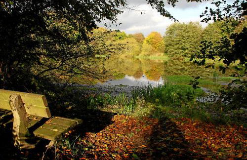 Haus Berghoff - Foto 9