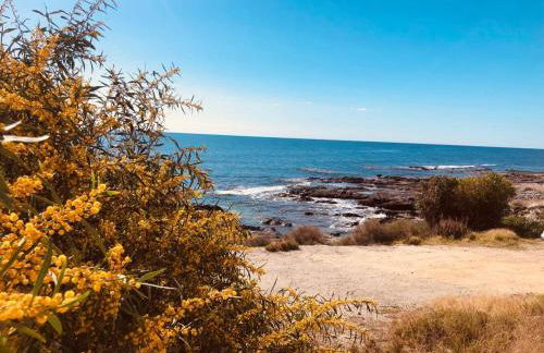 Villa Mangata - Photo 53