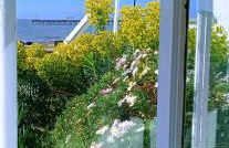 Beachfront Studio Apartment - Foto 2