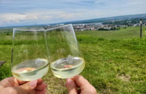 Pension Kostera - Foto 24