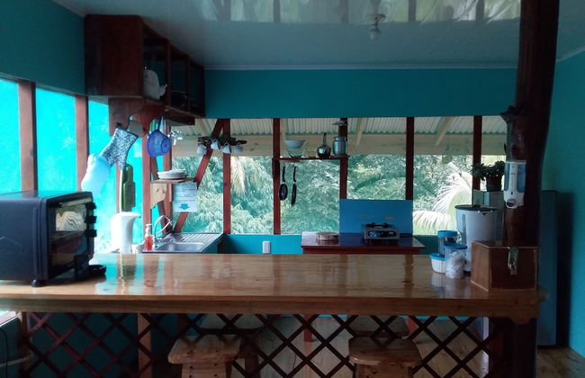 Drake Lapas - Foto 12