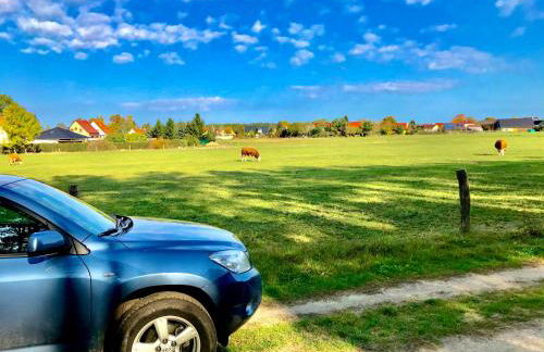 Top-moderne Ferienwohnung und Apartments auf früherem wunderschönen Bauernhof im Elbe-Elster-Kreis in Brandenburg bei Herzberg-Elster, Schönewalde, Holzdorf - Foto 19