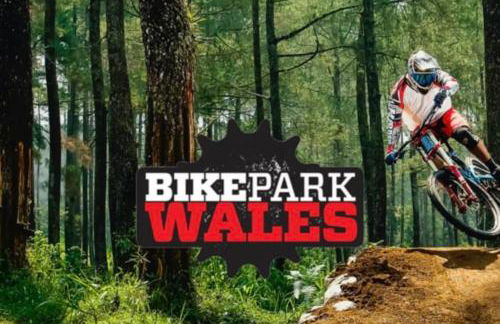 Mountain View - Photo 13