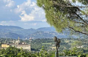 Podere di Montecchio - Le Andane - Foto 55