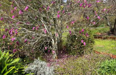 Charming Garden Retreat in Pedrogao Grande - Foto 23