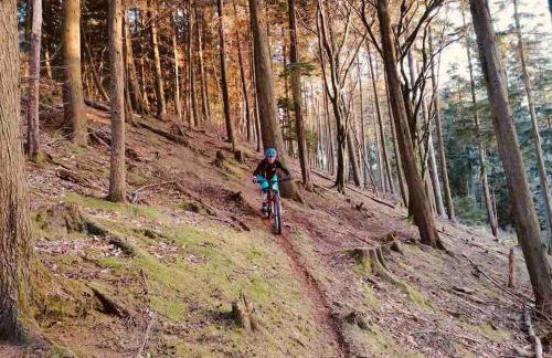 Cosy Rustic Annex in quiet Cornwall Village - Foto 25