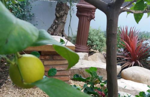 Poesia y Vino - Foto 21