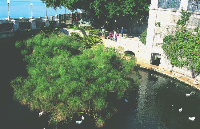 Escursione a Siracusa e all'isola di Ortigia - Foto 8