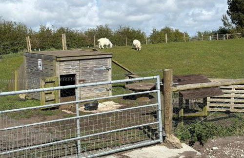 Poachers Hut 1-Bed Cottage Sleeps 2 Pet Friendly - Foto 9