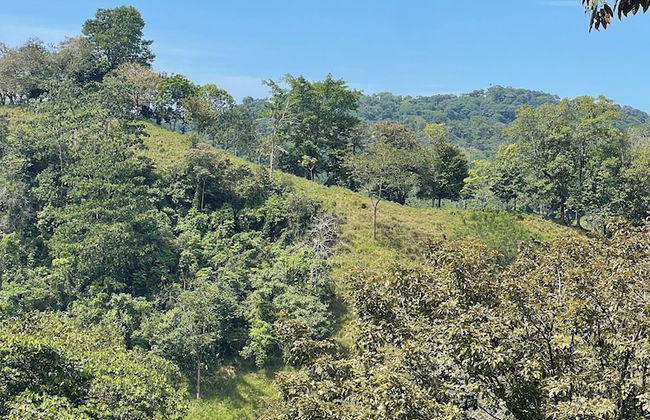 The Mango Tree Villas and Spa - Foto 58