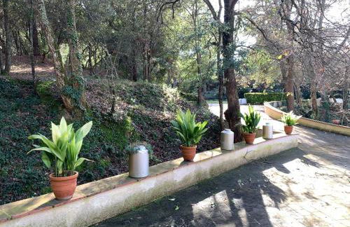 Magnífica Villa Familiar Con Piscina a 8Km Playa - Photo 61