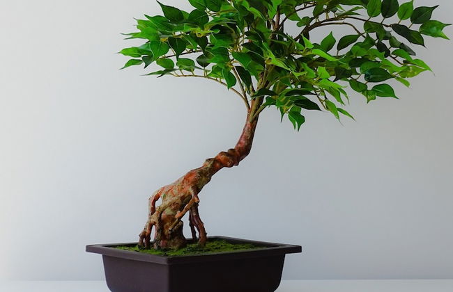 Rs porto Apartments - Foto 20